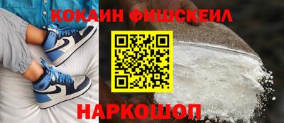 МДПВ Камень-на-Оби