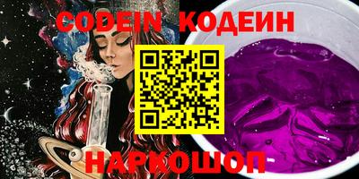 МДПВ Камень-на-Оби