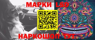 молекула духа Каменск-Шахтинский