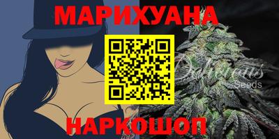 МДПВ Камень-на-Оби