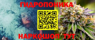 МДПВ Камень-на-Оби