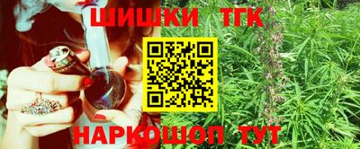 МДПВ Камень-на-Оби