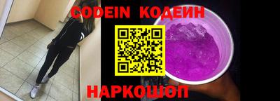МДПВ Камень-на-Оби