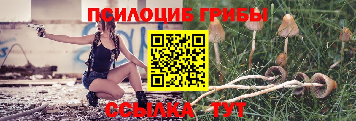 Псилоцибиновые грибы Psilocybe Бугульма
