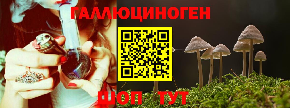 Псилоцибиновые грибы Magic Shrooms  Галлюциногенные грибы Psilocybe  Вход с VPN  Бугульма 